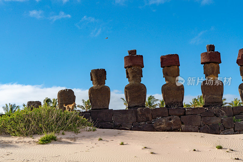 岛Nau Nau，复活节岛，智利